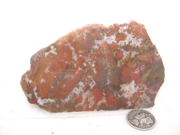 Stony Creek Jasper/Agate.