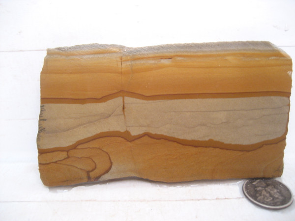 Owyhee Picture Jasper`