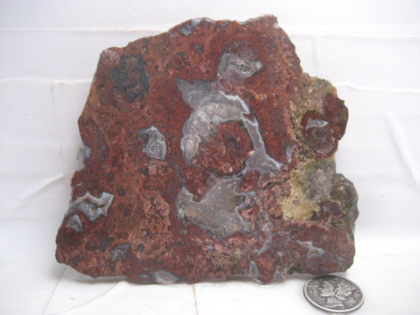 Hauser Bed Thunderegg.