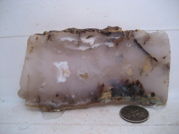 Willapa Agate