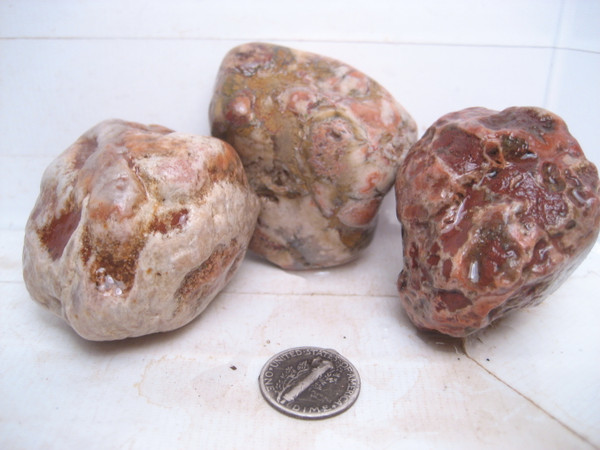 Great Lakes Morph',