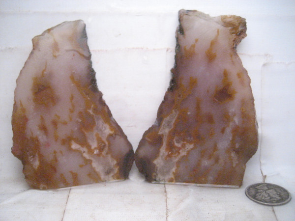 Bull Canyon Moss/tube  Agate.