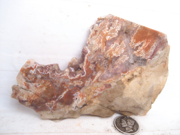 Dryhead  Agate'`