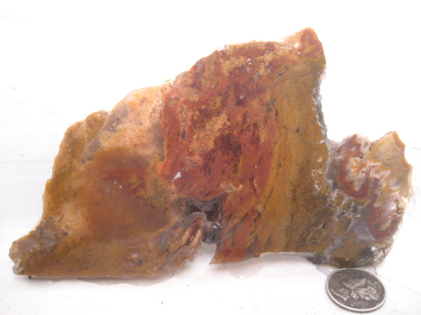 Cottonwood Pass Moss Agate`