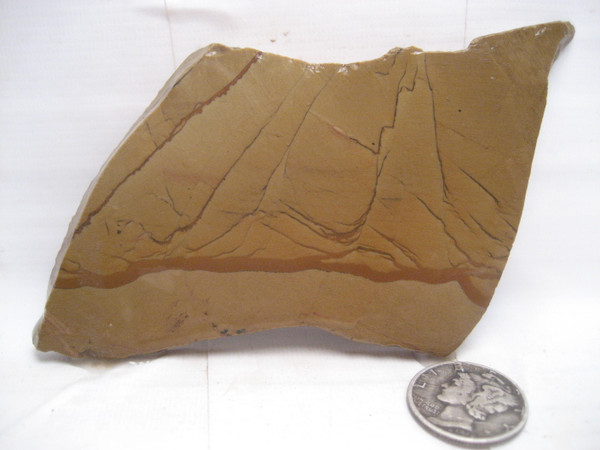 Owyhee Picture Jasper'