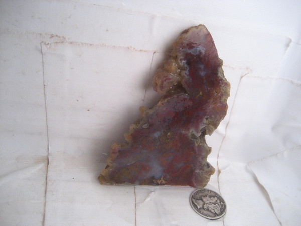 Bullion Mountain Plume Agate`
