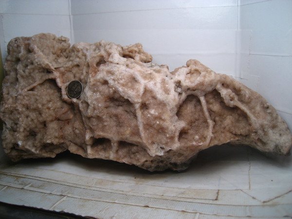 Lake Superior Botroydial White Prehnite