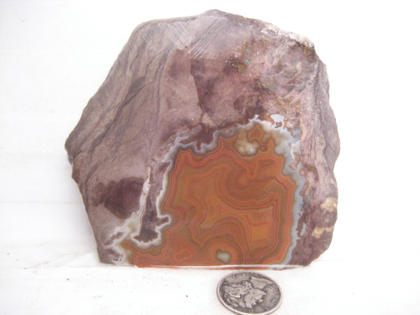 Dryhead  Agate