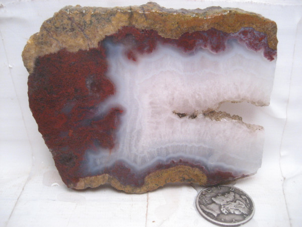 Purgatory Plume Agate.