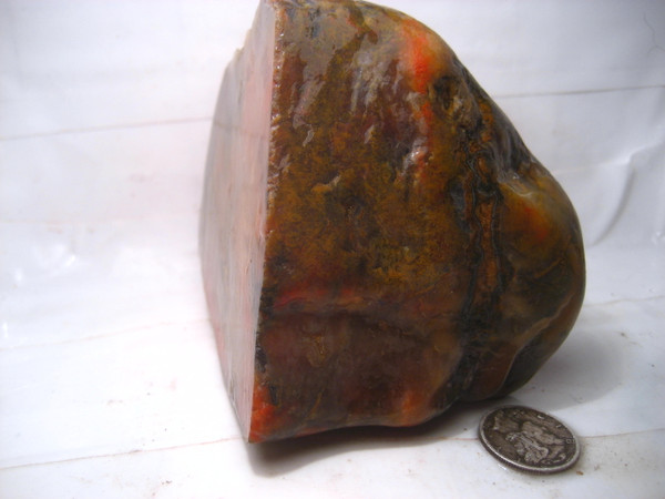 Montana  Moss Agate.