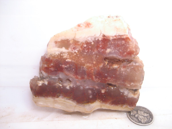 Hackberry Mtn. Plume Agate