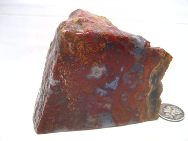 Paul Bunyan Plume Agate`~