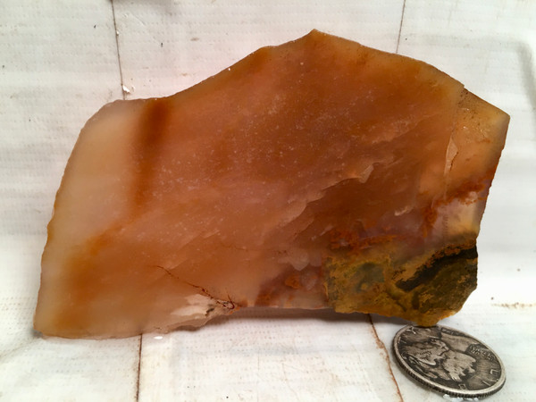 Cheif Paulina Agate~