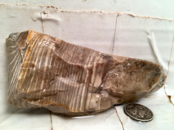 Polish Flint