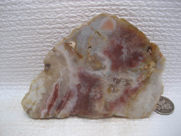 Calapooia Agate/Jasper*