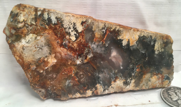 Northridge Plume Agate