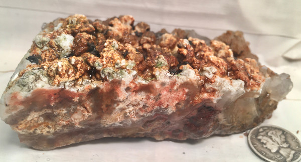 Northridge Plume Agate~