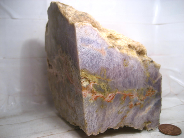 Sheep Bridge Sagenite Agate