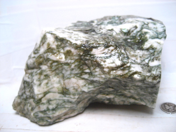 Green Tree Agate~