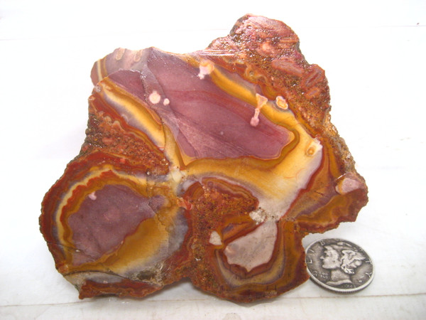 Pinto Wash Wonderstone~