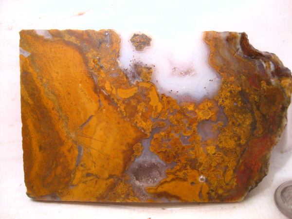 Jumping Jeep Plume Agate*`