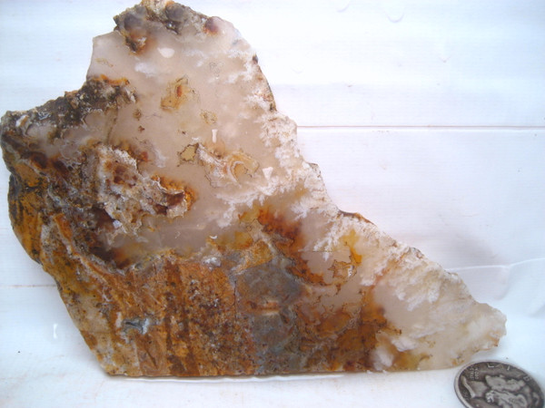 Rock Creek Plume Agate~