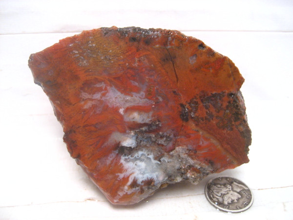 Nova Scotia Red Flame Agate~