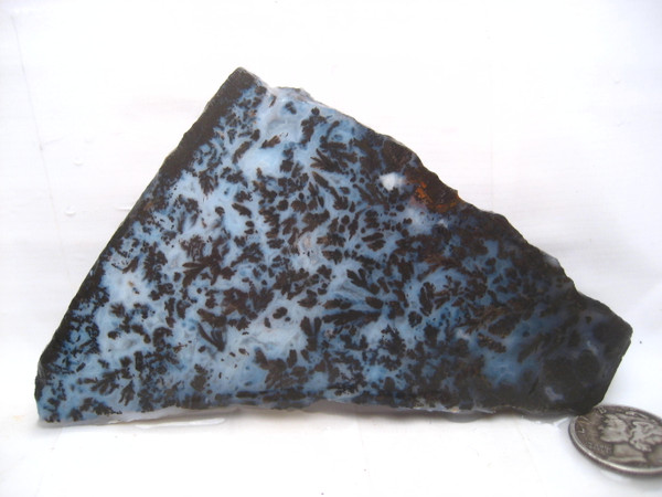 Medicine Bow Plume Agate'`