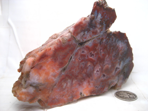Texas Seam Agate~