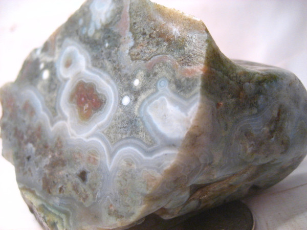 Ocean Jasper-