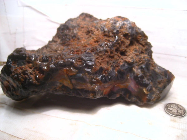 Piranha Banded Agate