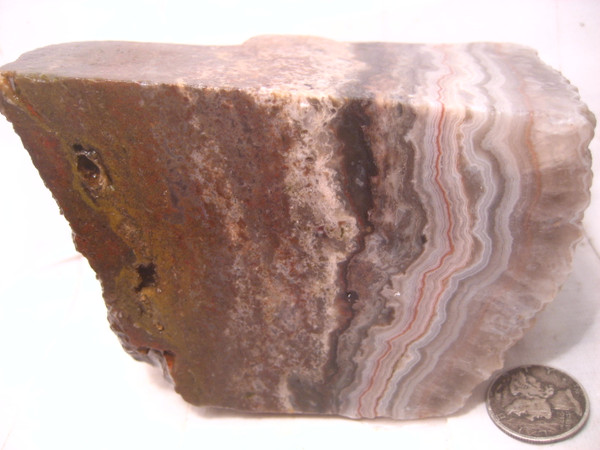 Missouri Gray Lace Agate~