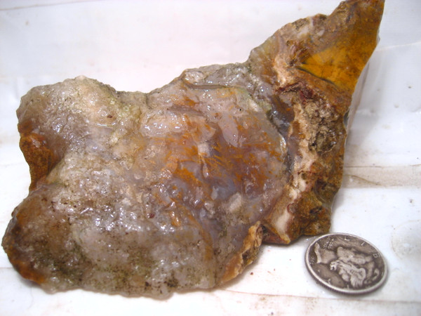 Pitayo Agate