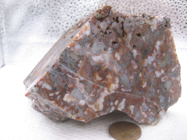 Powell Butte Moss Agate