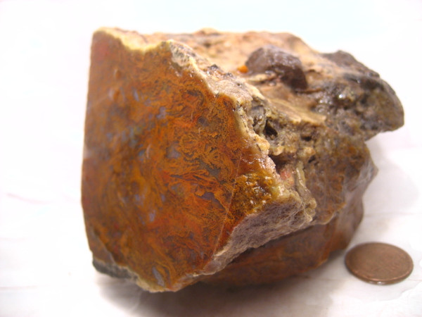 Broadhead Moss Agate`