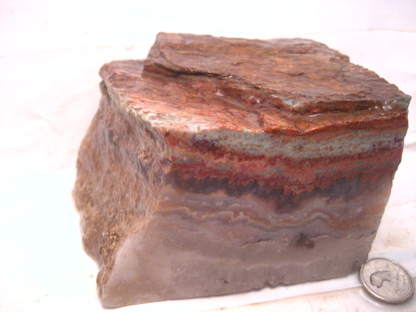 Prudent Man Plume Agate ~