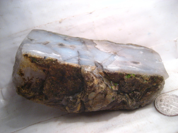 Willapa Agate`