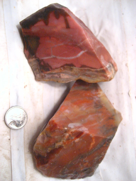 Orange River Voorsite ~