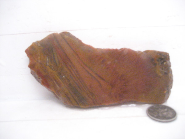 Indonesian Sagenite Agate'* 