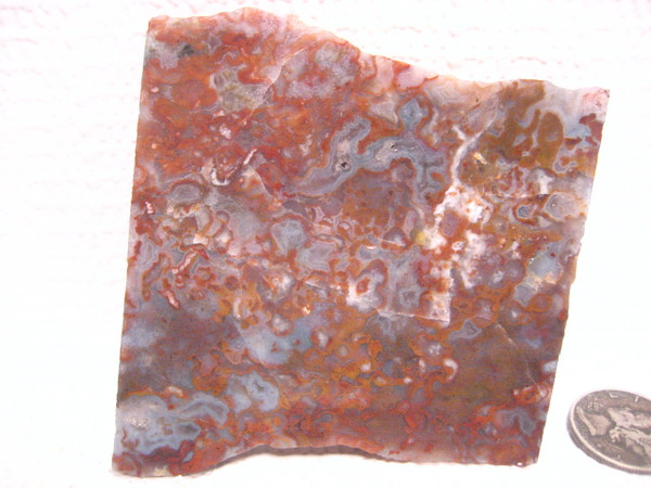 Powell Butte Moss Agate*