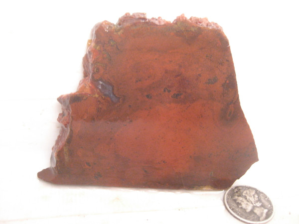 Carey Moss/Plume Agate