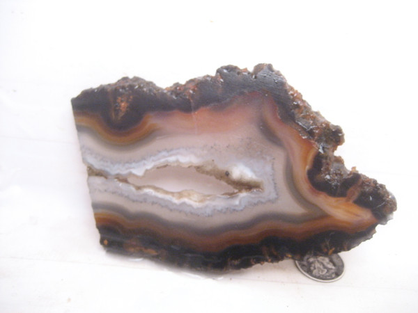 Piranha Agate.` 