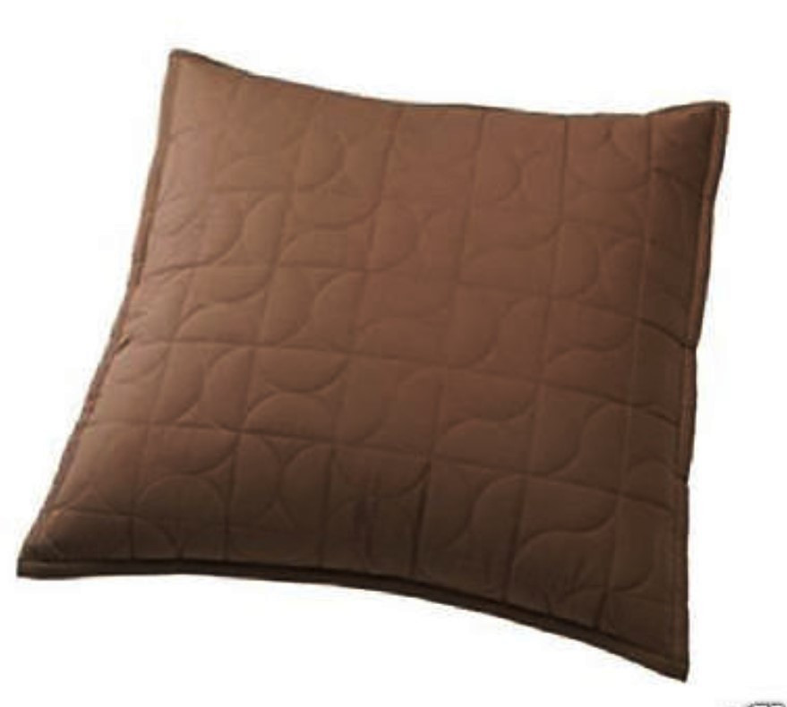 Euro Apt 9 Vines Brown Quilted Pillow Sham