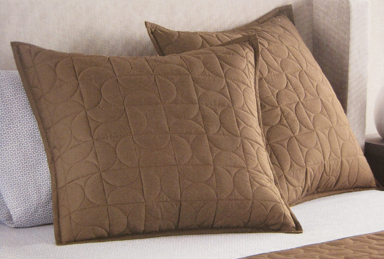 Euro Apt 9 Vines Brown Quilted Pillow Sham