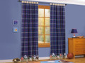 AMERICAN KIDS - RARE All Stars Red Beige & Navy Blue Plaid with Sports Border DRAPES