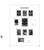Typical DAVO LUXE Stamp Album Page