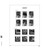 Typical DAVO LUXE Stamp Album Page