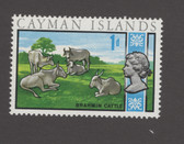 Cayman Islands Scott 263, MNH