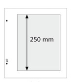 DAVO 1 - Pocket,  Single  Sided Stock Pages  (10 per package)