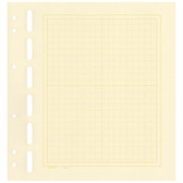 Schaubek Quad-ruled Blank Album Pages -  Pack of 25